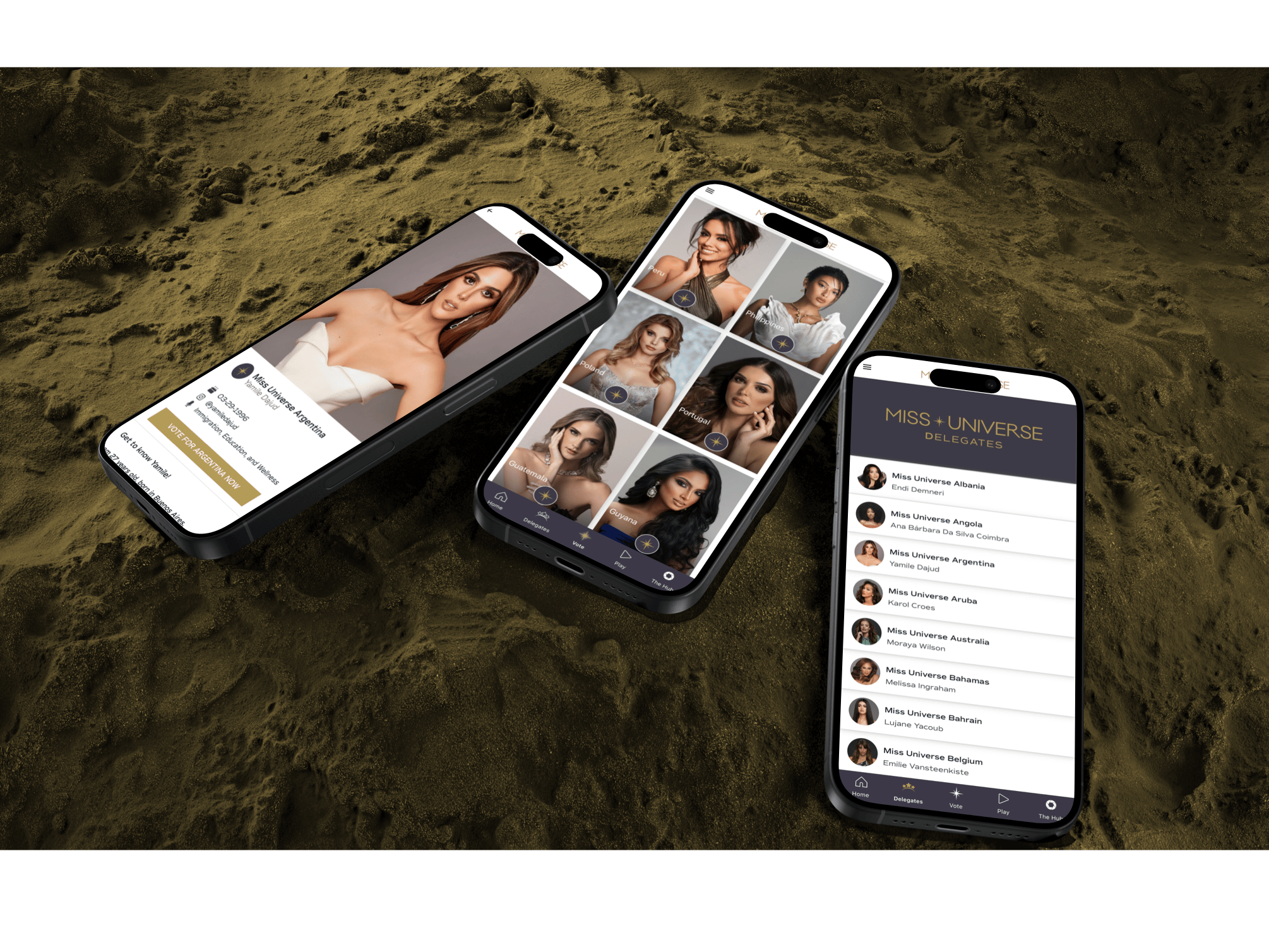 online-voting-system-2