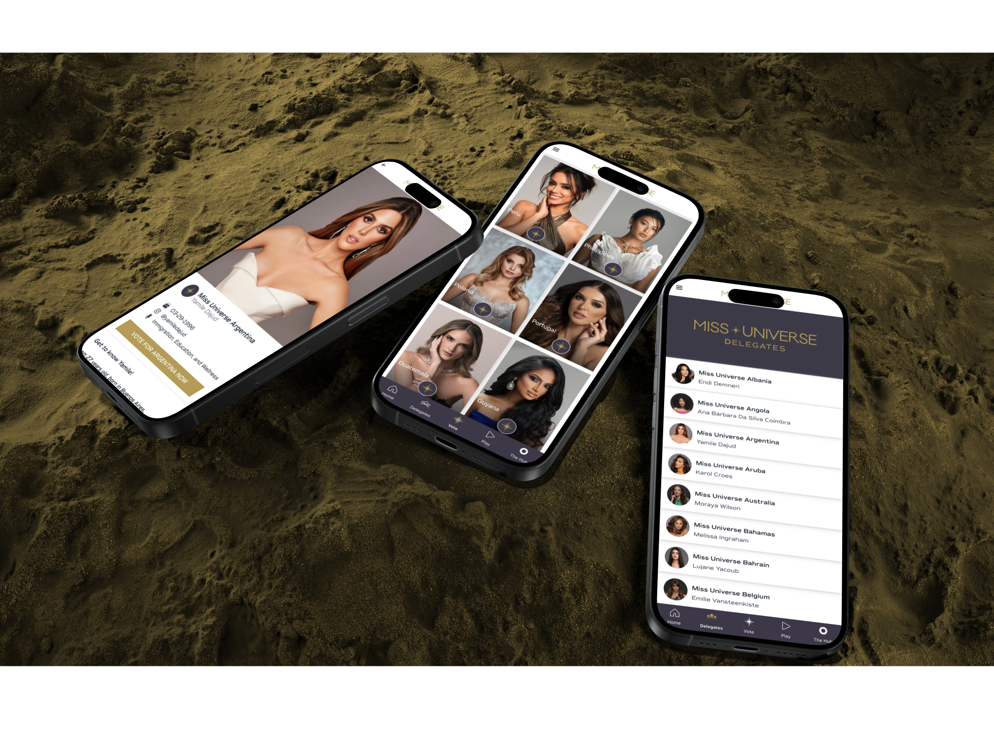 online-voting-system-2